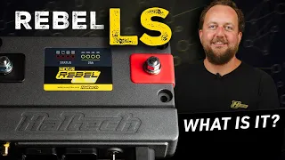 🔍What is it? Nexus Rebel LS | PRODUCT OVERVIEWS