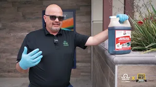 Best Graffiti Removal Practices with @OctoClean and World's Best Graffiti Removers