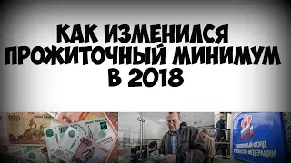 Как изменился прожиточный минимум в 2018!