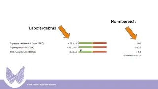 Schilddrüse - Autoantikörper - einfach erklärt