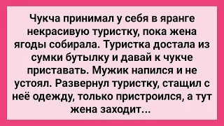 Жена Застукала Чукчу с Туристкой! Сборник Свежих Смешных Жизненных Анекдотов!