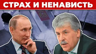 🍓За что Путин на самом деле ненавидит Грудинина