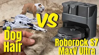 Roborock S7 MaxV Ultra Review VS Dog Hair