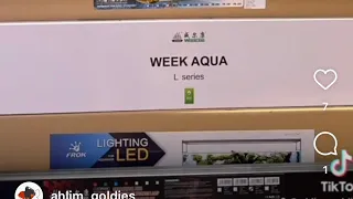 REVIEW & RATINGS: Part 1 Aquarium Lights Frok A1 LED & Week Aqua T12 Submersible Tube