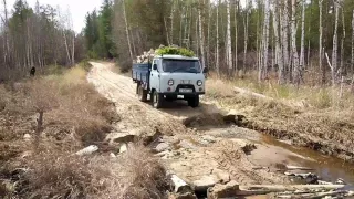 УАЗ Головастик тд 27т / UAZ 3303 td 27t