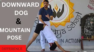 DIFFERENCE IN DOWNWARD FACING DOG & MOUNTAIN POSE | HOW TO DO DOWNWARD FACING DOG | @PrashantjYoga