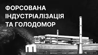 Форсована індустріалізація та Голодомор 1932-1933 років | ЗНО ІСТОРІЯ УКРАЇНИ