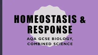 Homeostasis Revision - GCSE Biology/Combined Science