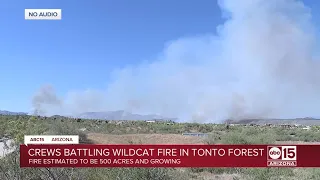 Crews battling Wildcat Fire in Tonto National Forest