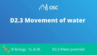 D2.3 Water Movement [IB Biology SL/HL]