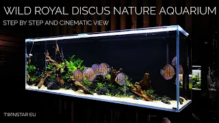 Wild ROYAL Discus Nature Aquarium of 200x60x70cm at Twinstar EU