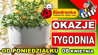 BIEDRONKA | Gazetka Promocyjna od Poniedziałku 08.04.2024. | Wiosna i Biedronka to dobre połączenie