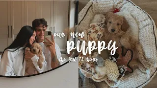 The first 72 hours with our new puppy... 🐾