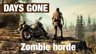 Days Gone The Horde Killer Hardest Difficulty.