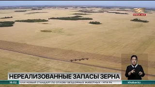 1,6 млн тонн нереализованного запаса зерна посчитали в Казахстана