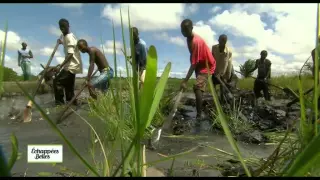 Casamance - Echappées belles