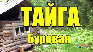 ТАЙГА | БУРОВАЯ УСТАНОВКА В ТАЙГЕ - ДОБЫЧА