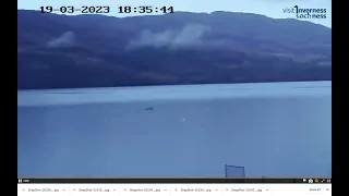 3rd sweep of Giant Eel like creature on surface of Loch Ness viewed on VILN Shoreland Lodges Webcam