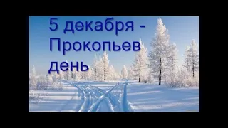 5 декабря - Прокопьев день. Народные приметы