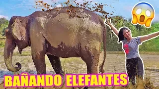 UN DÍA ENTERO CON ELEFANTES! BAÑO DE LODO OMG - SANTUARIO TAILANDIA - SandraCiresArt