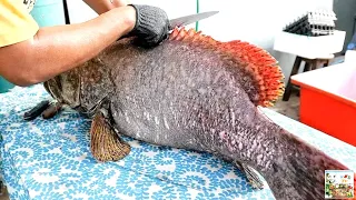 Рыба ГРУПЕР ГОЛИАФ (Гуаса) / Goliath GROUPER Fish (Guasa) / Обработка и Приготовление | ТАЙСКАЯ Еда.