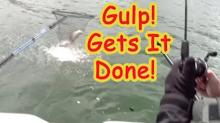 Your Guild To Trolling Gulp! Minnows For Trout, Kings & More