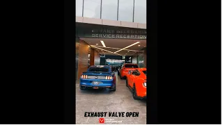 Veleno Performance Exhaust, Mustang GT 5.0T, Valvetronic Catback Exhaust