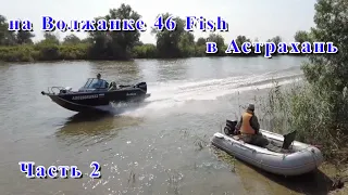 Волжанка 46 Fish в Астрахань,  рыбалка на сома и сазана.Часть 2