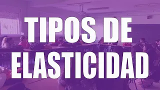 Qué es la elasticidad de demanda (tipos de elasticidad y efectos en los ingresos)