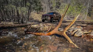 Arizona shed hunting 2024 (WMAT) White Mountain Apache Tribe #solotines #fullcurl #crispi