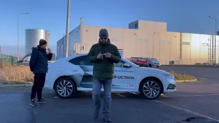 Новая Skoda Octavia A8 2020 (Шкода Октавия А8 2020). Когда Volkswagen отходит на второй план.