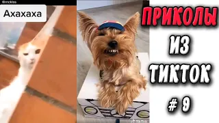 ПРИКОЛЫ ИЗ ТИК ТОК #9 😎Лучшая подборка приколов 2020 ЧУДИКИ ИЗ ТИК ТОК Top TikTok 2020 Приколы 2020