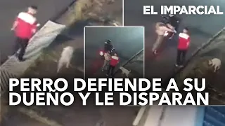 Perro defiende a su dueño de asaltantes y le disparan 🙁