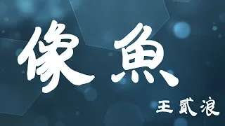 像魚 - 王貳浪 - 『超高无损音質』【動態歌詞Lyrics】