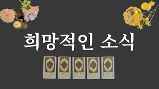 [타로카드]곧 듣게 될 희망적인 소식⭐️