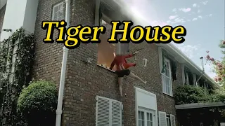 《Tiger House》，The beauty picked up a crossbow and destroyed the entire gang