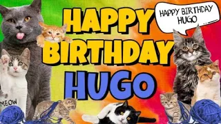 Happy Birthday Hugo! Crazy Cats Say Happy Birthday Hugo (Very Funny)