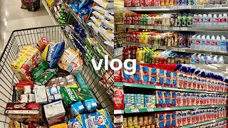 GROCERY VLOG PH 🥕 realistic grocery shopping, monthly essentials, life in MNL, asmr grocery with me