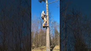 DIY summit mini climber for saddle hunting