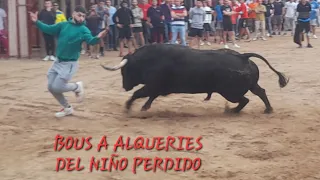 BOUS A ALQUERIES DEL NIÑO PERDIDO 2022, 2 TOROS CERRILES