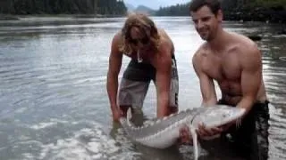 River Monsters, Huge sturgeon- fishing in British Columbia, Canada.MPG