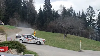 Audi Quattro Lavanttal Rallye Maurer / Lutz