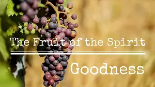 Fruit of the Spirit Series: Goodness