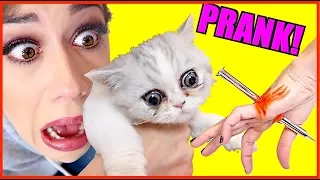 PRANKING MY CATS!