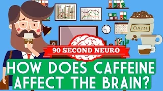 How does caffeine affect the brain?