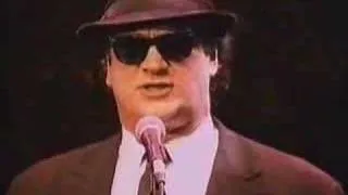 The Return of The Blues Brothers: Hard To Handle - 1995