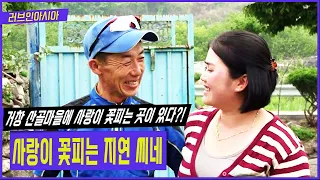 [러브인아시아] 거창의 깊은 산골마을에 살고 있는 베트남 신부 김지연씨가 가족과 함께 7년만에 고향을 찾아갔다! | KBS 20140715 방송