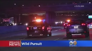 Wild Pursuit Ends Along Hollywood Walk of Fame