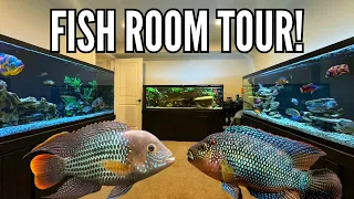 Over 800 Gallons of Cichlid Tanks in One Fish Room! (Tour)