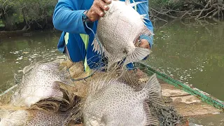 Memancing dan Menjala ikan di muara Bebanir